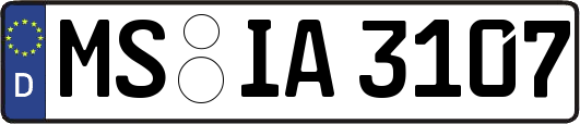 MS-IA3107