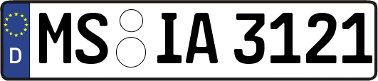MS-IA3121