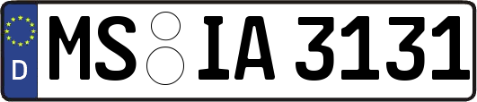 MS-IA3131