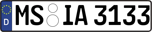 MS-IA3133