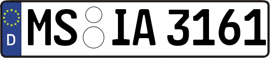 MS-IA3161