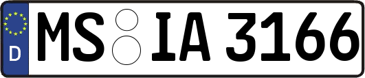 MS-IA3166