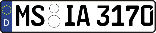 MS-IA3170