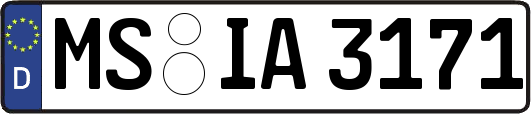 MS-IA3171