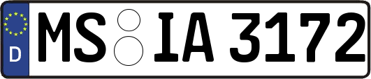 MS-IA3172