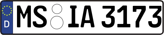 MS-IA3173