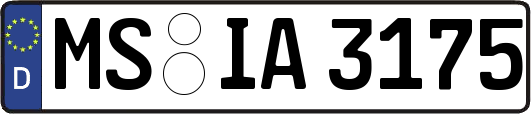 MS-IA3175