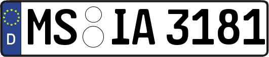 MS-IA3181