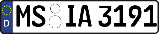 MS-IA3191