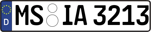 MS-IA3213
