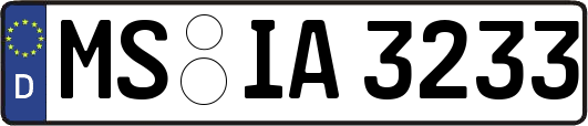 MS-IA3233