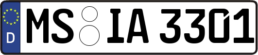 MS-IA3301