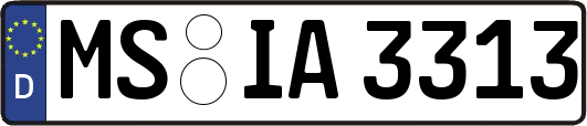 MS-IA3313