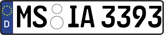 MS-IA3393