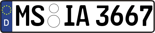 MS-IA3667
