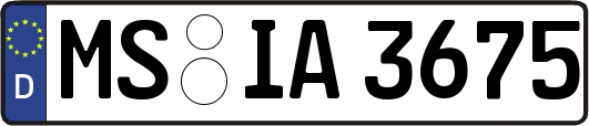 MS-IA3675