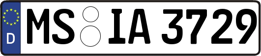 MS-IA3729