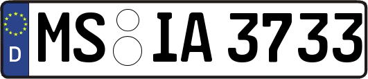MS-IA3733