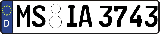 MS-IA3743