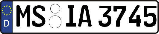 MS-IA3745