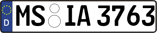 MS-IA3763