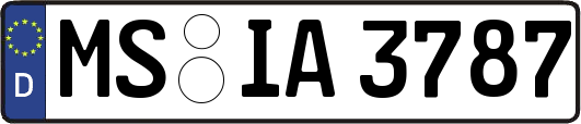 MS-IA3787