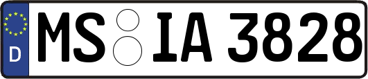 MS-IA3828