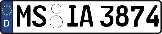 MS-IA3874