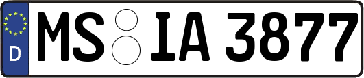 MS-IA3877