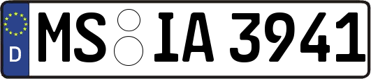 MS-IA3941