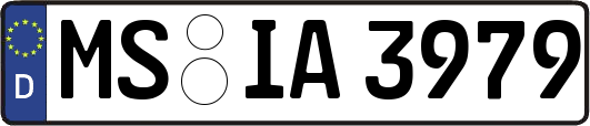MS-IA3979