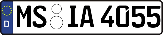 MS-IA4055