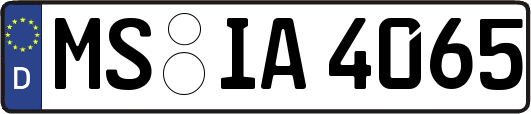MS-IA4065