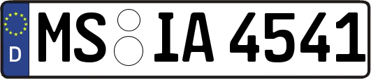 MS-IA4541