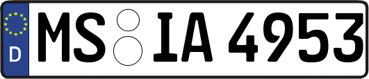 MS-IA4953