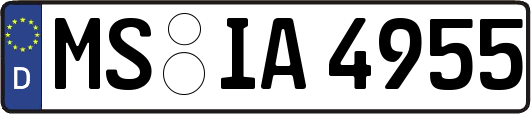 MS-IA4955