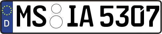 MS-IA5307
