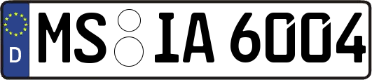 MS-IA6004