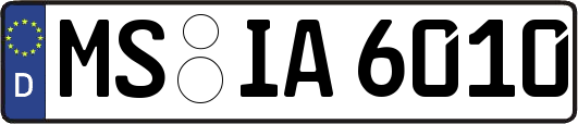 MS-IA6010