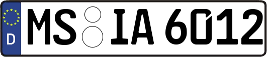 MS-IA6012