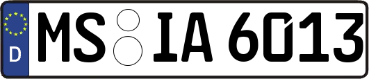 MS-IA6013