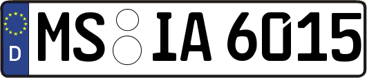 MS-IA6015