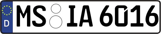MS-IA6016