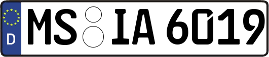 MS-IA6019
