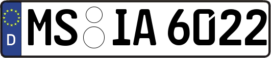 MS-IA6022