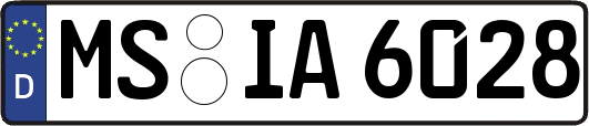 MS-IA6028