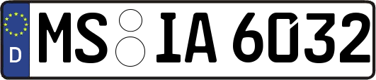 MS-IA6032