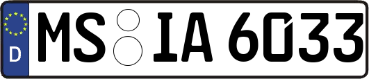MS-IA6033