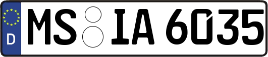 MS-IA6035
