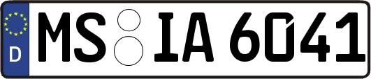 MS-IA6041